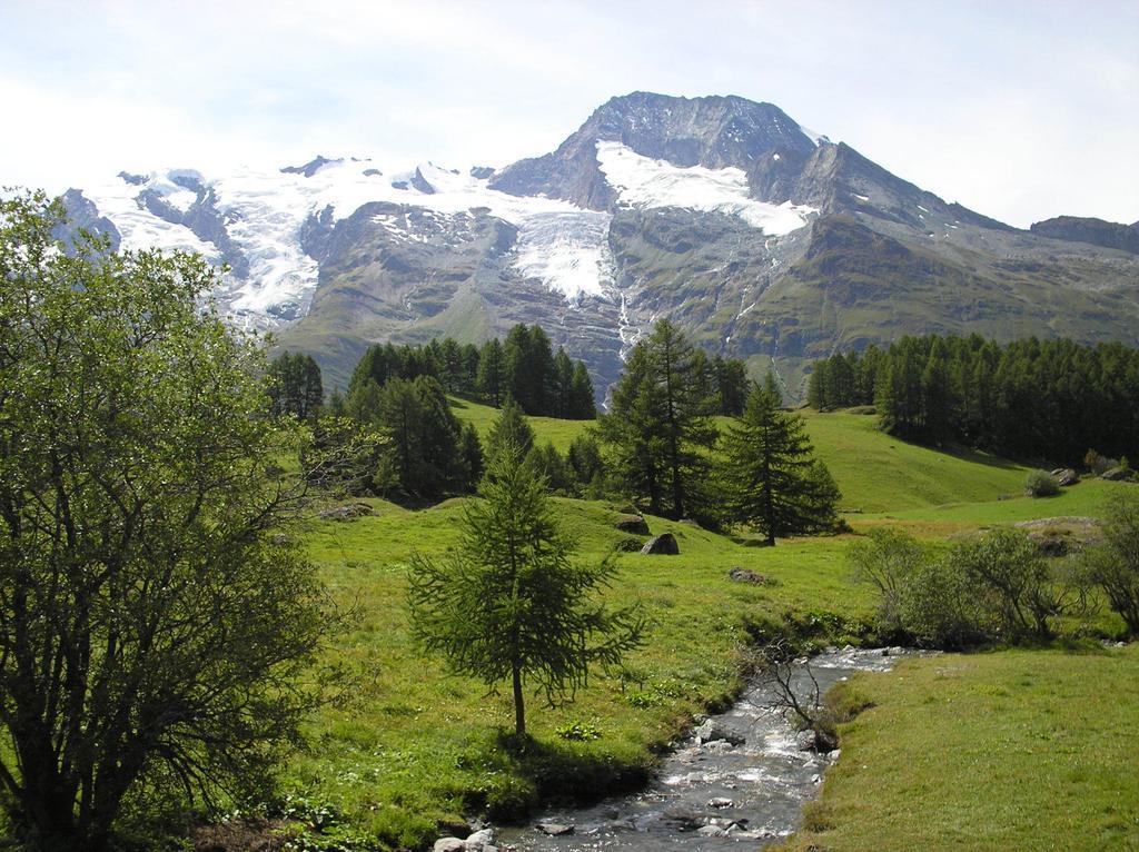 Chalet Bois D'Antan Bed and Breakfast Sainte-Foy-Tarentaise Esterno foto